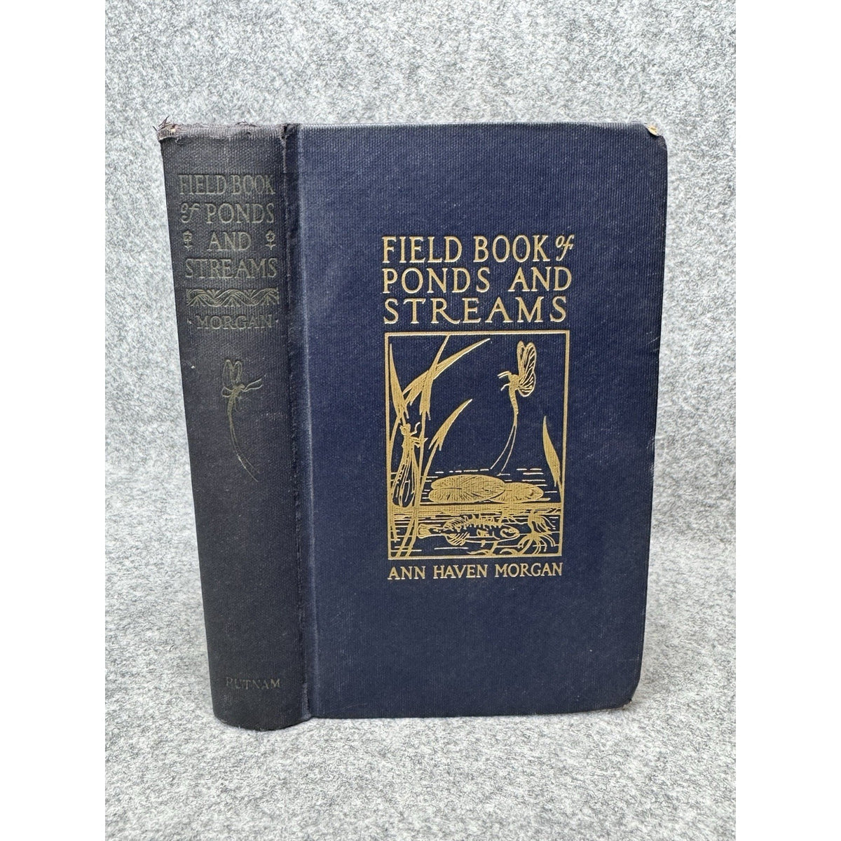 1930 Field Book of Ponds and Streams Ann Haven Morgan Illustrated Hardcover