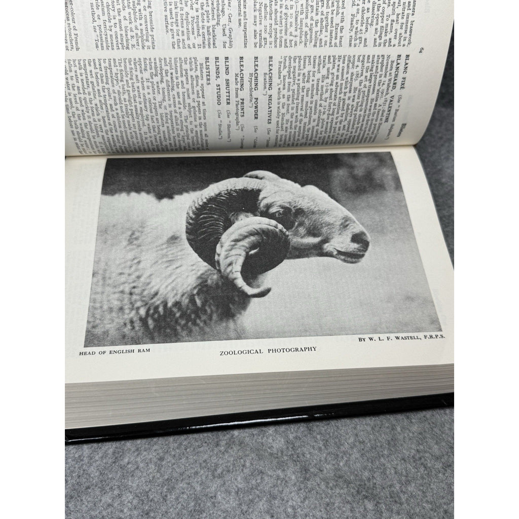 1974 Encyclopedia of Photography Bernard E Jones Arno Press HC DJ Illustrated