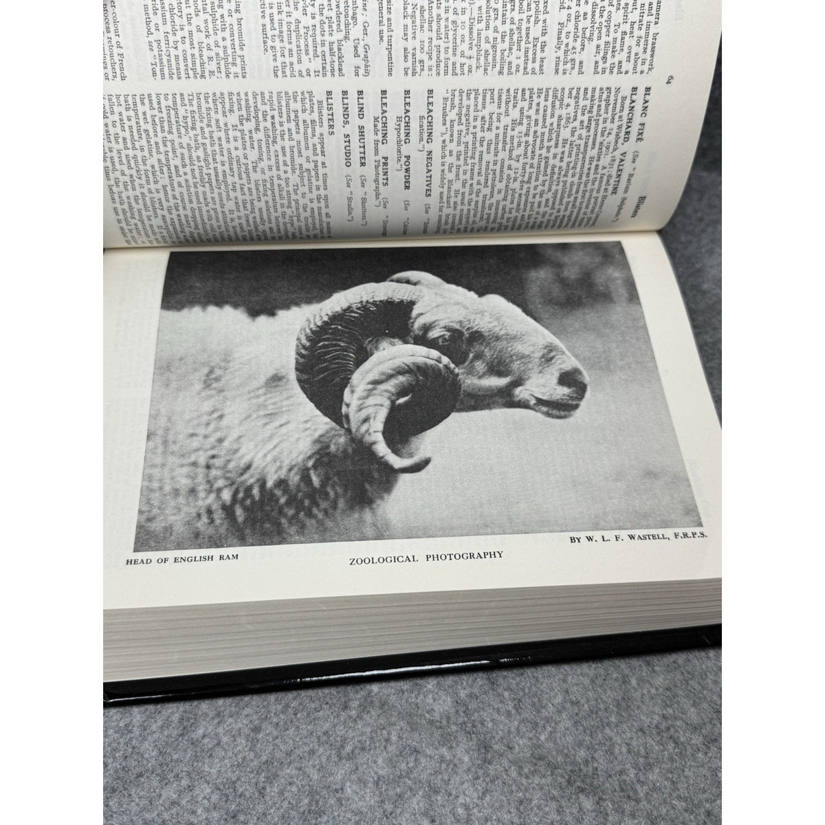 1974 Encyclopedia of Photography Bernard E Jones Arno Press HC DJ Illustrated