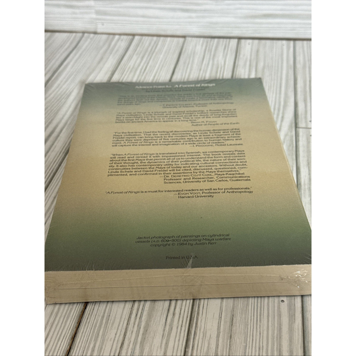 Forest of Kings : The Untold Story of the Ancient Maya by David Freidel and...