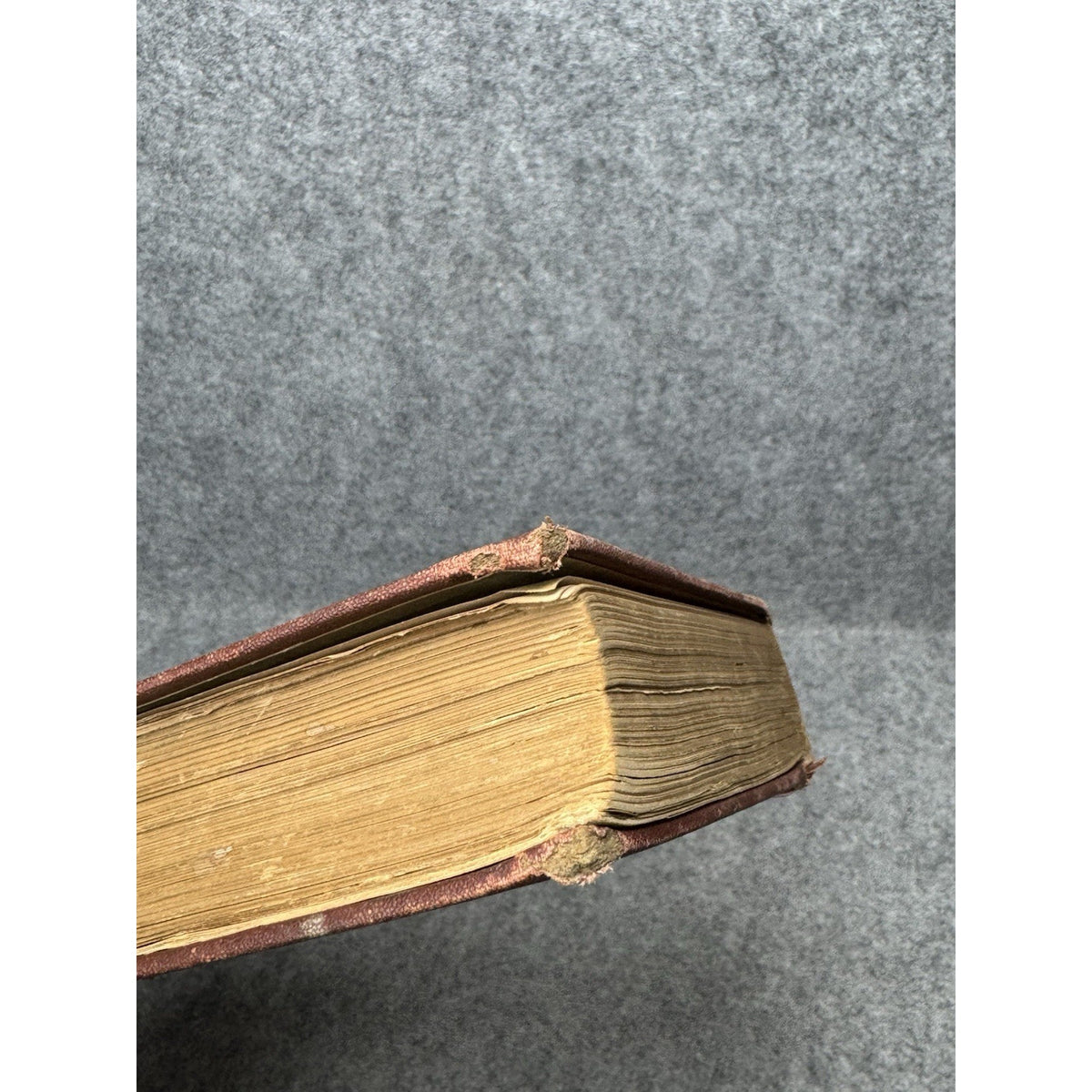 The Testimony of the Rocks Hugh Miller Antique Illustrated Geology Theology HC