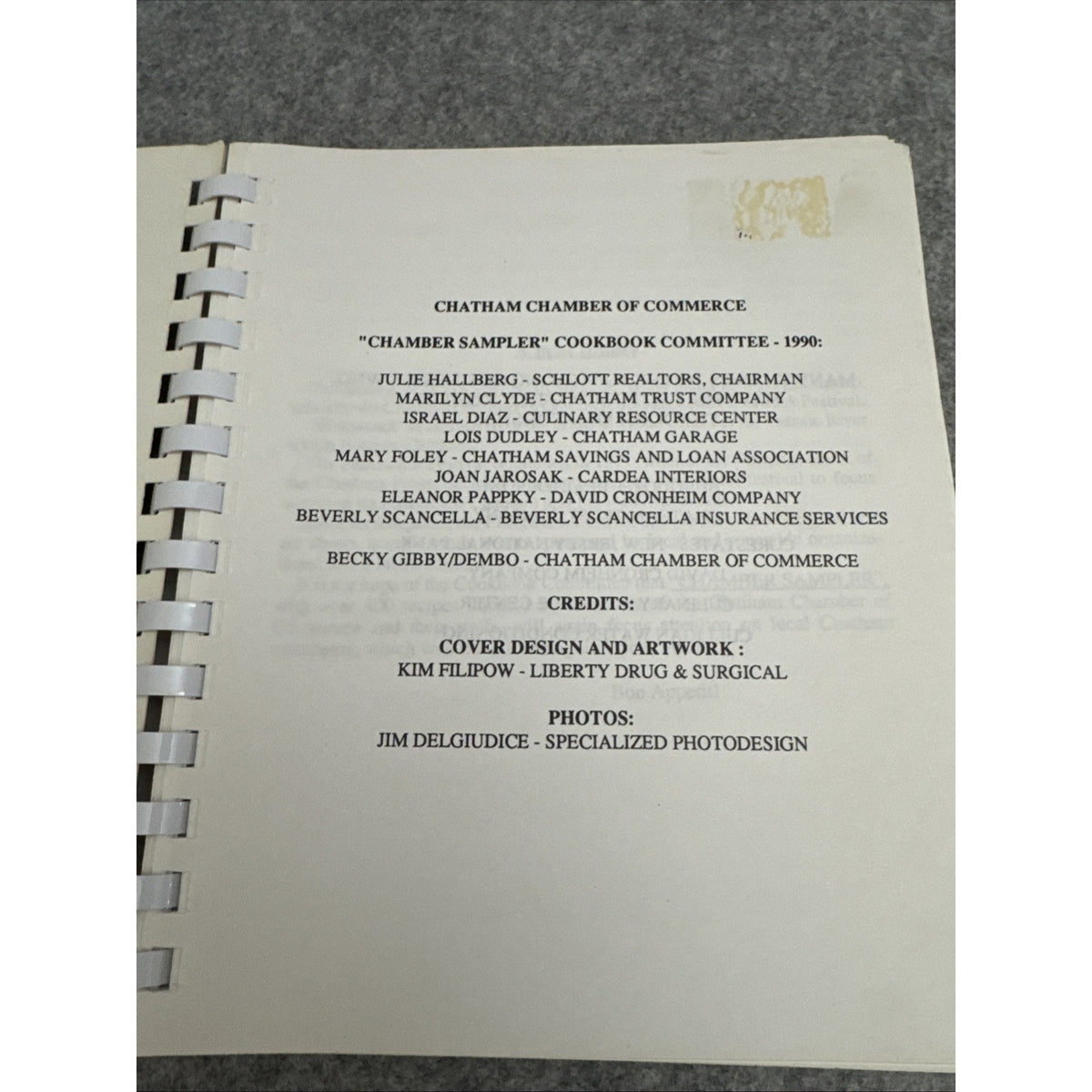 Chatham Chamber of Commerce Sampler Cookbook 1990 Spiral Bound Community Recipes