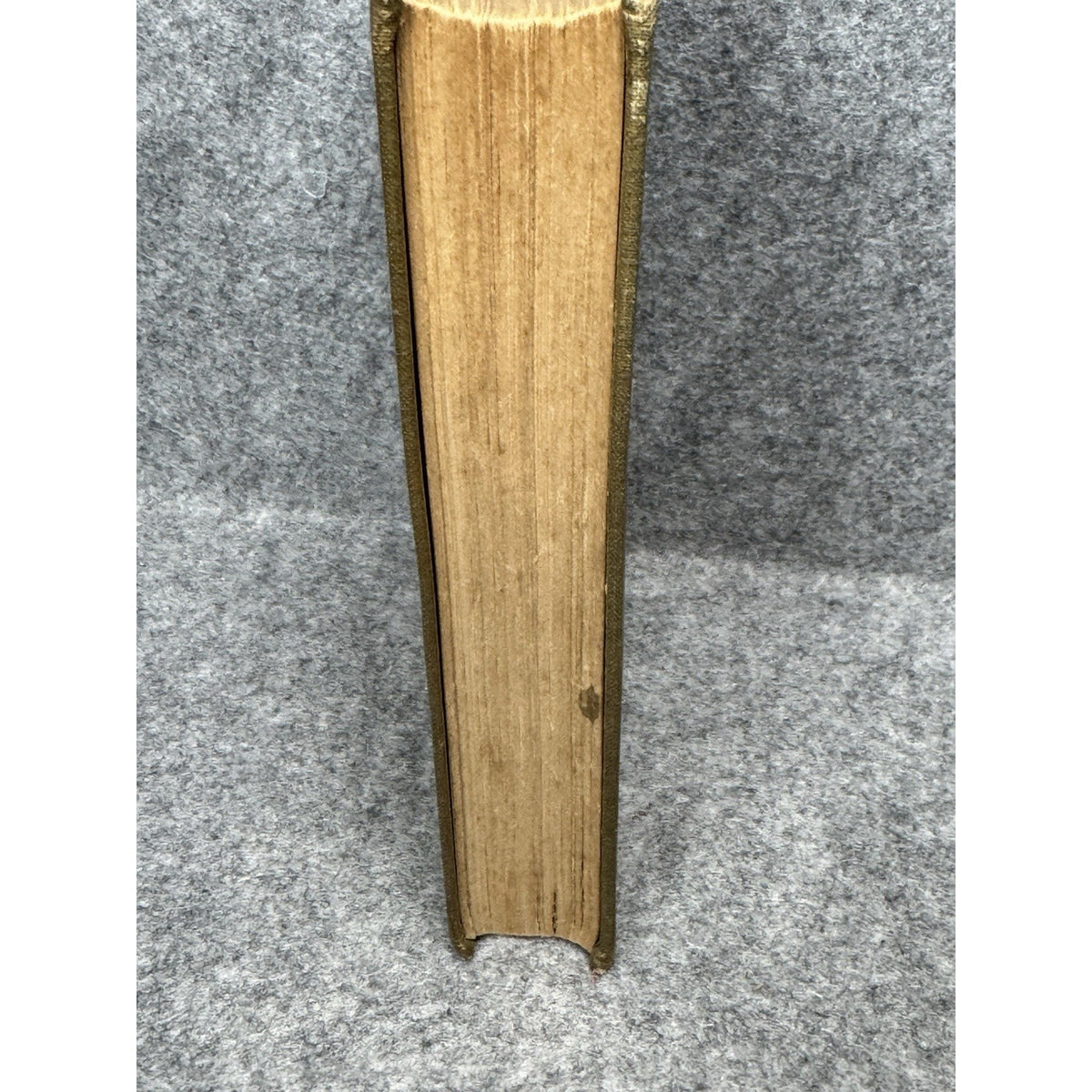Theodore Roosevelt the Citizen Jacob A. Riis 1904 Special Edition Hardcover