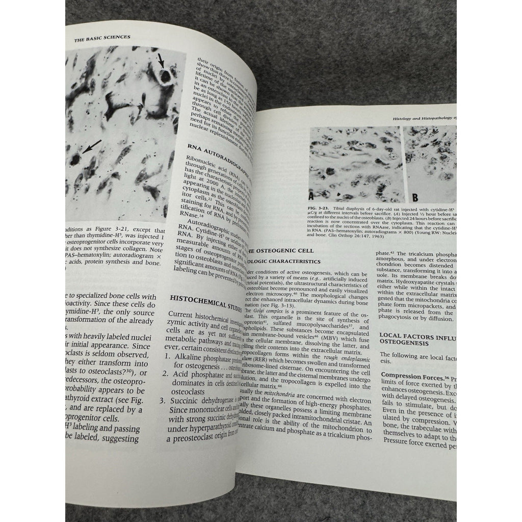 Orthopaedics : Principles and Their Application by Samuel L. Turek Part I & II