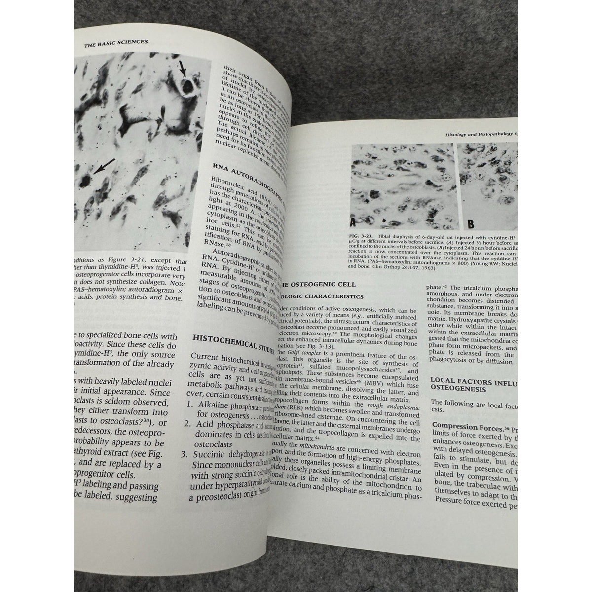 Orthopaedics : Principles and Their Application by Samuel L. Turek Part I & II