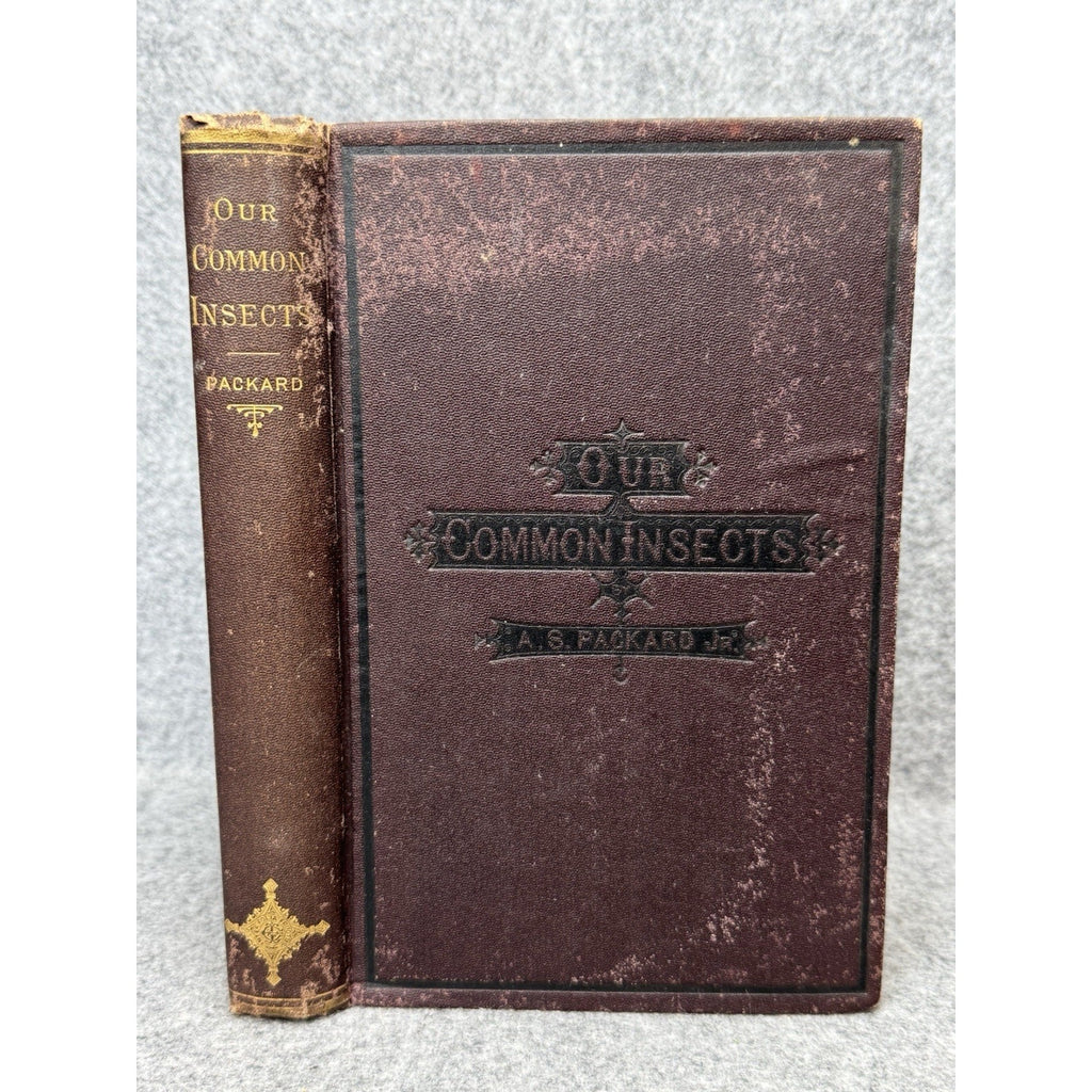 Our Common Insects c1873 A S Packard Antique Illustrated Entomology Hardcover