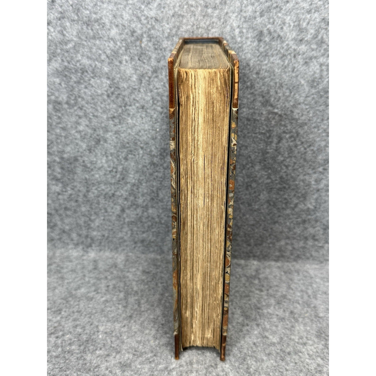 1825 Angler’s Guide T.F. Salter 6th Ed Large Paper Extra Illustrated Fishing
