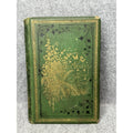 1875 The Insect Jules Michelet First English Edition Giacomelli Illustrated HC