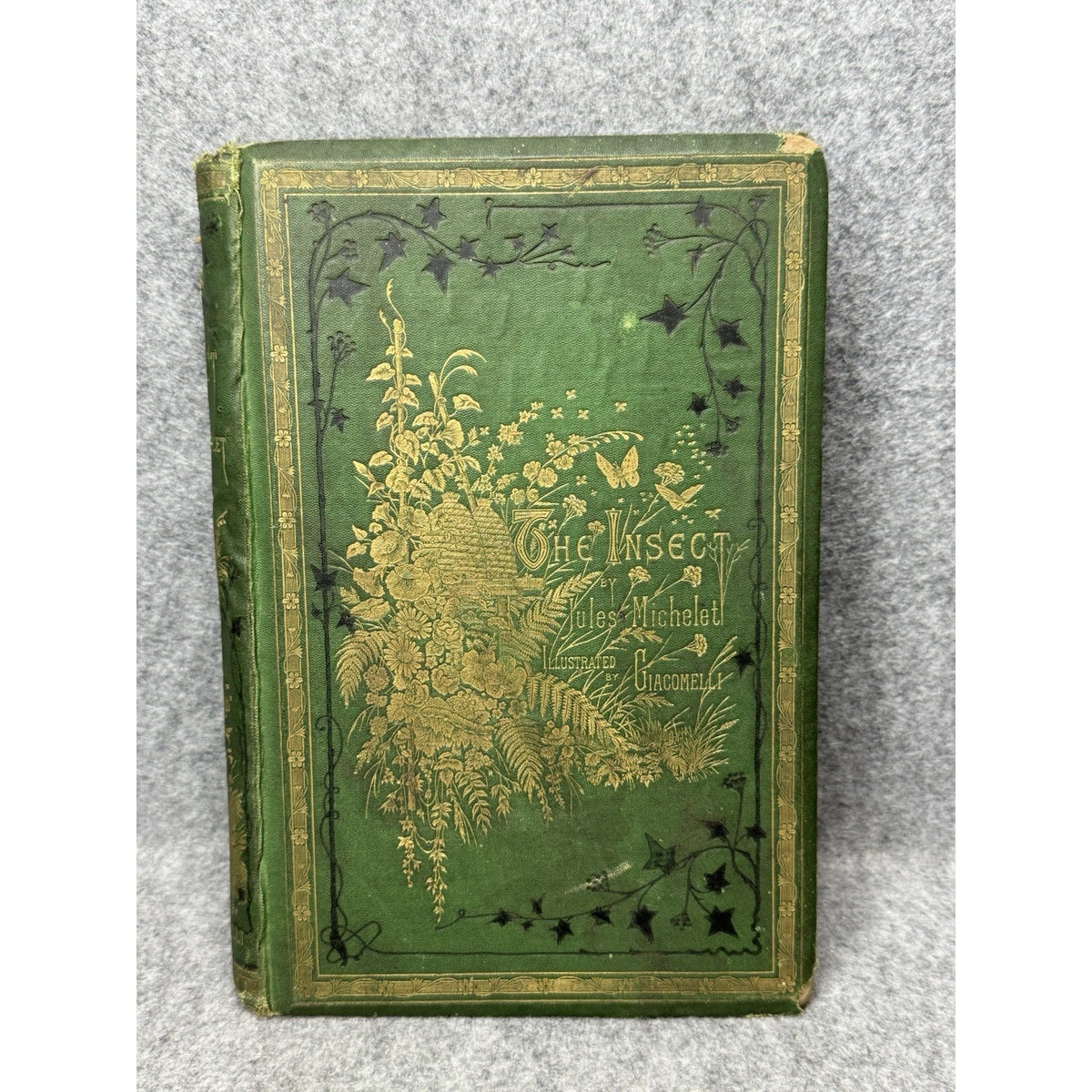 1875 The Insect Jules Michelet First English Edition Giacomelli Illustrated HC