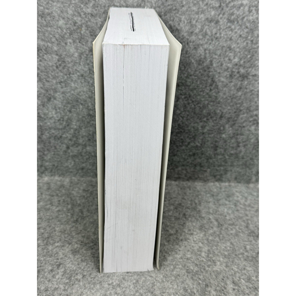 The World’s Major Languages 2011 2nd Edition Bernard Comrie Linguistics