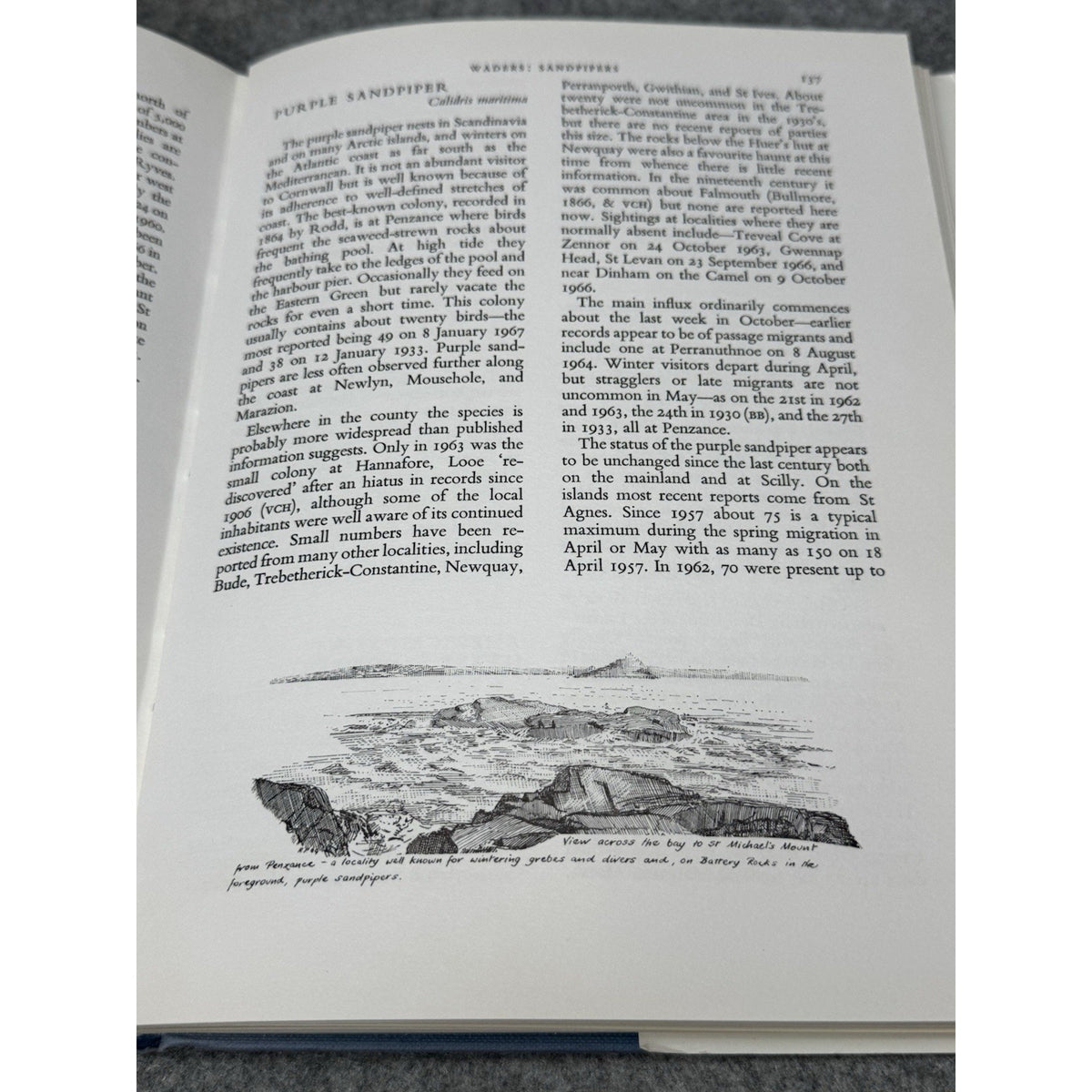 Birds Cornish Coast Isles of Scilly Penhallurick 1969 1st Edition HC DJ
