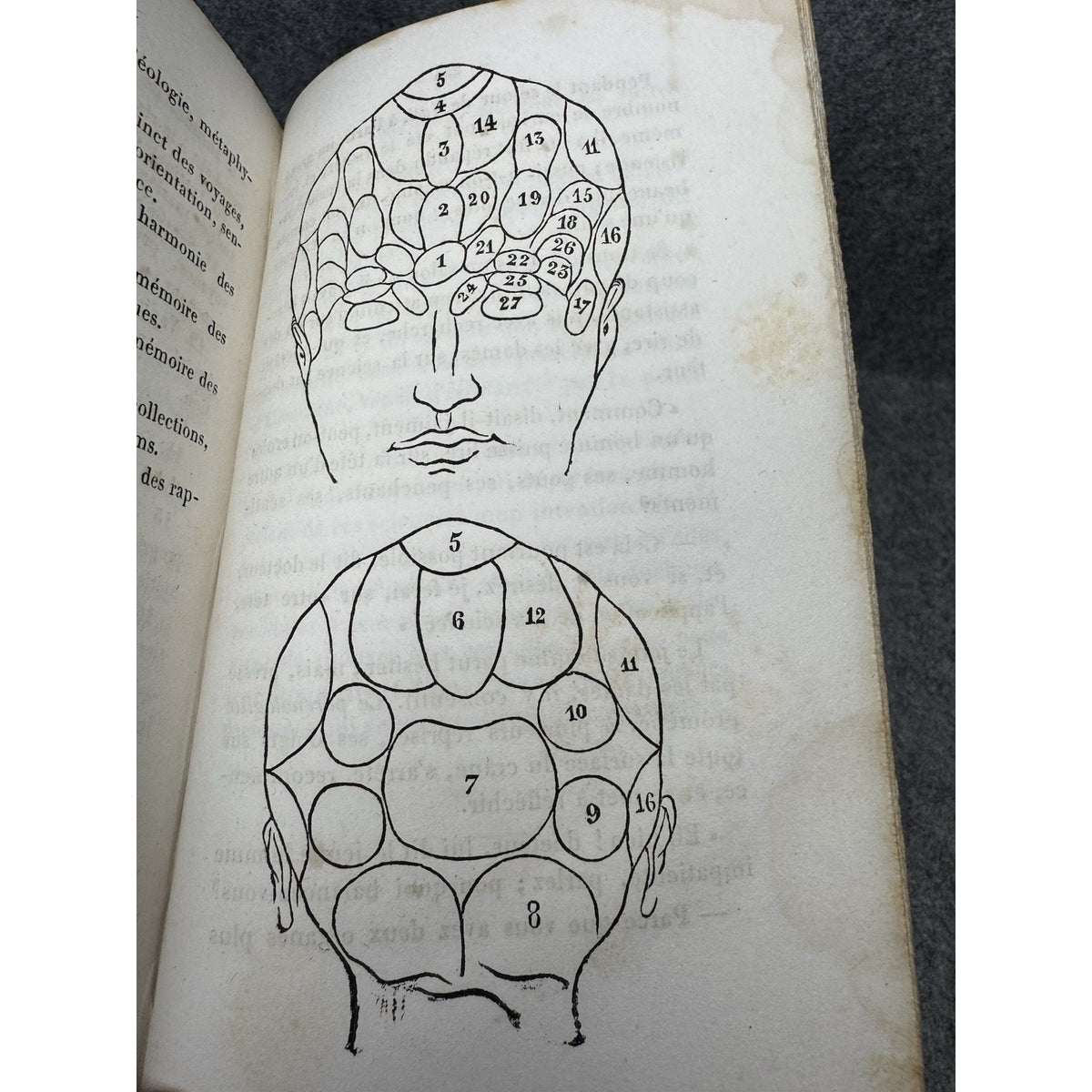 1847 Justification Sciences Divinatoires Occult Divination First Edition