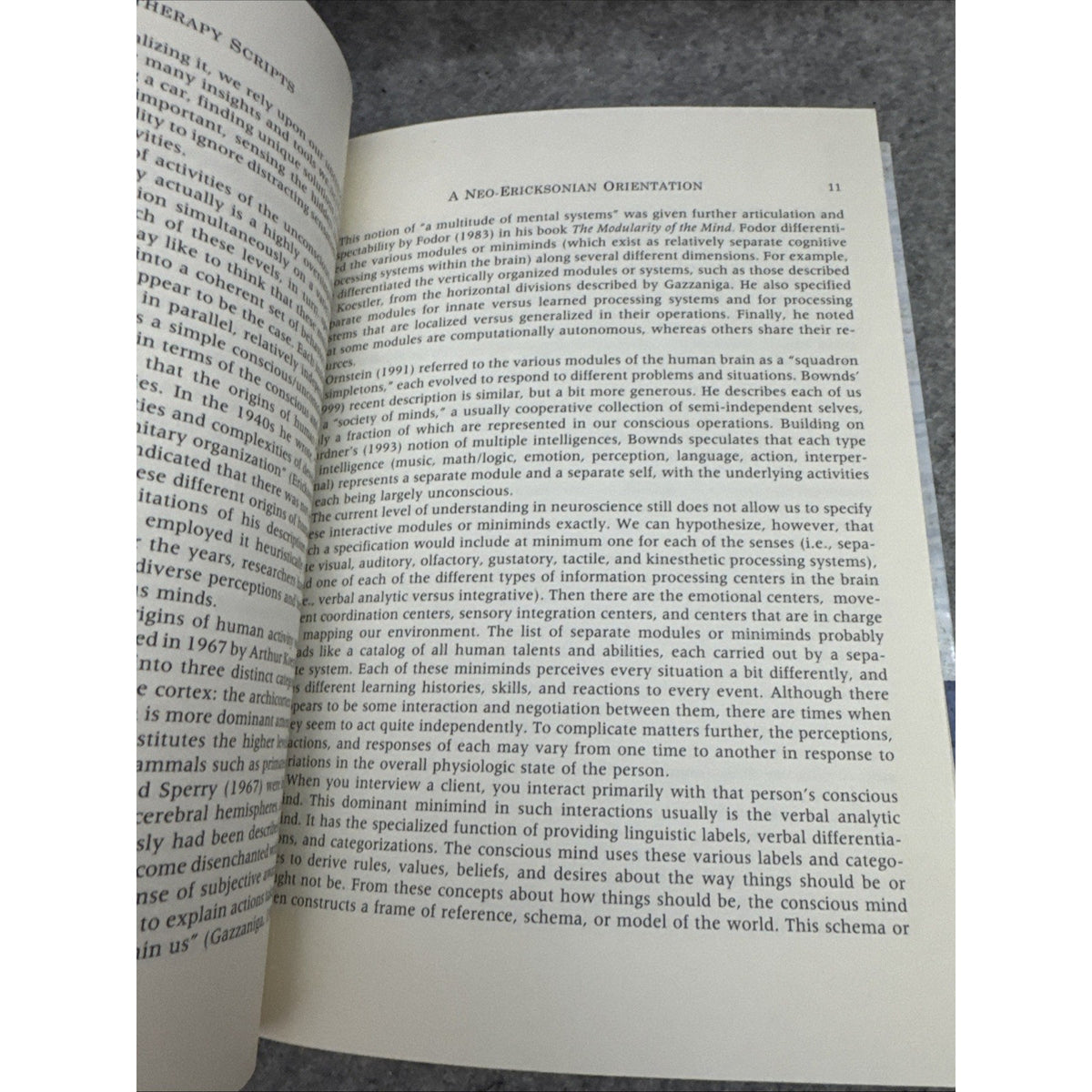 Hypnotherapy Scripts 2nd Edition