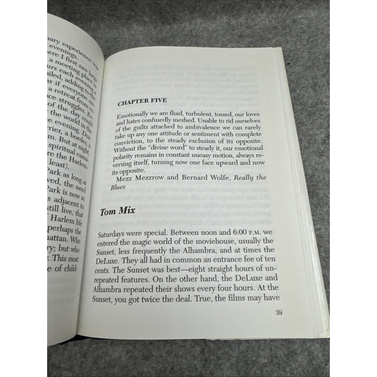 Daydreams and Nightmares : Reflections of a Harlem Childhood by Irving Louis...