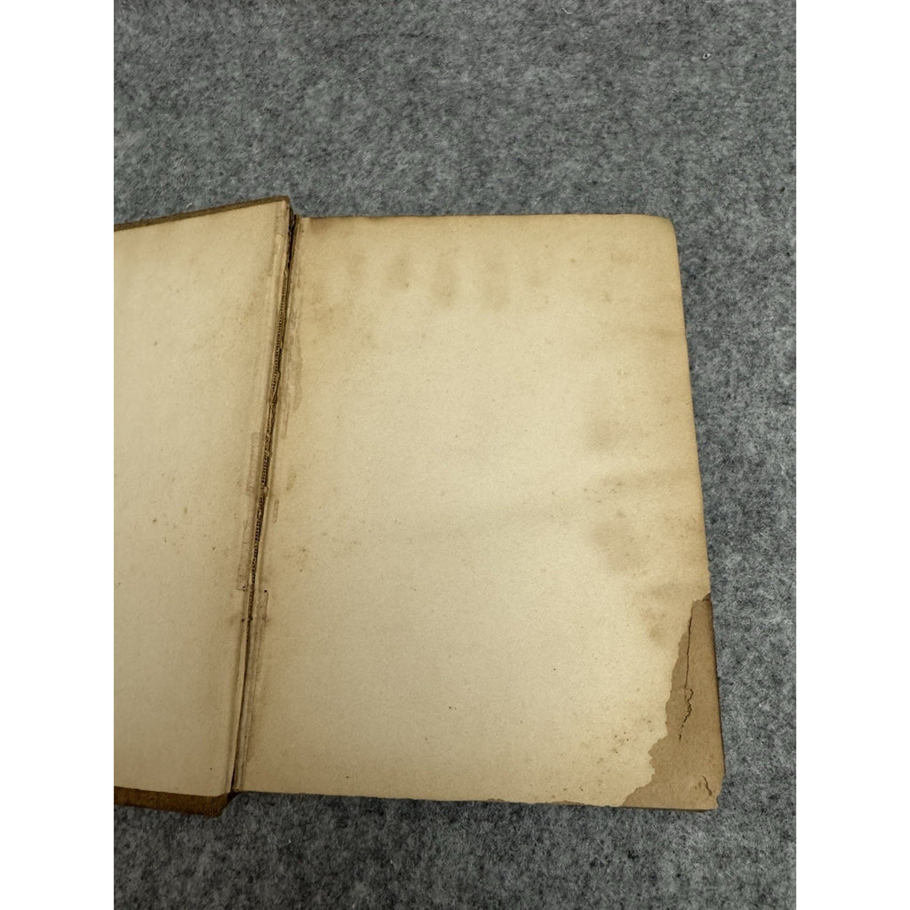 1894 The Blithedale Romance Nathaniel Hawthorne Salem Edition HC