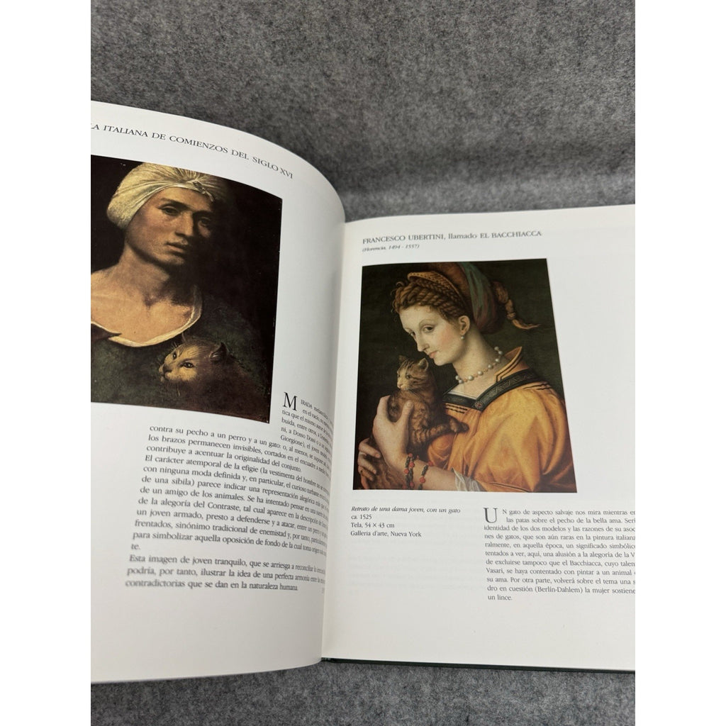 El Gato en el Arte 1988 HC DJ Mondadori Cat Art Painting History Spanish