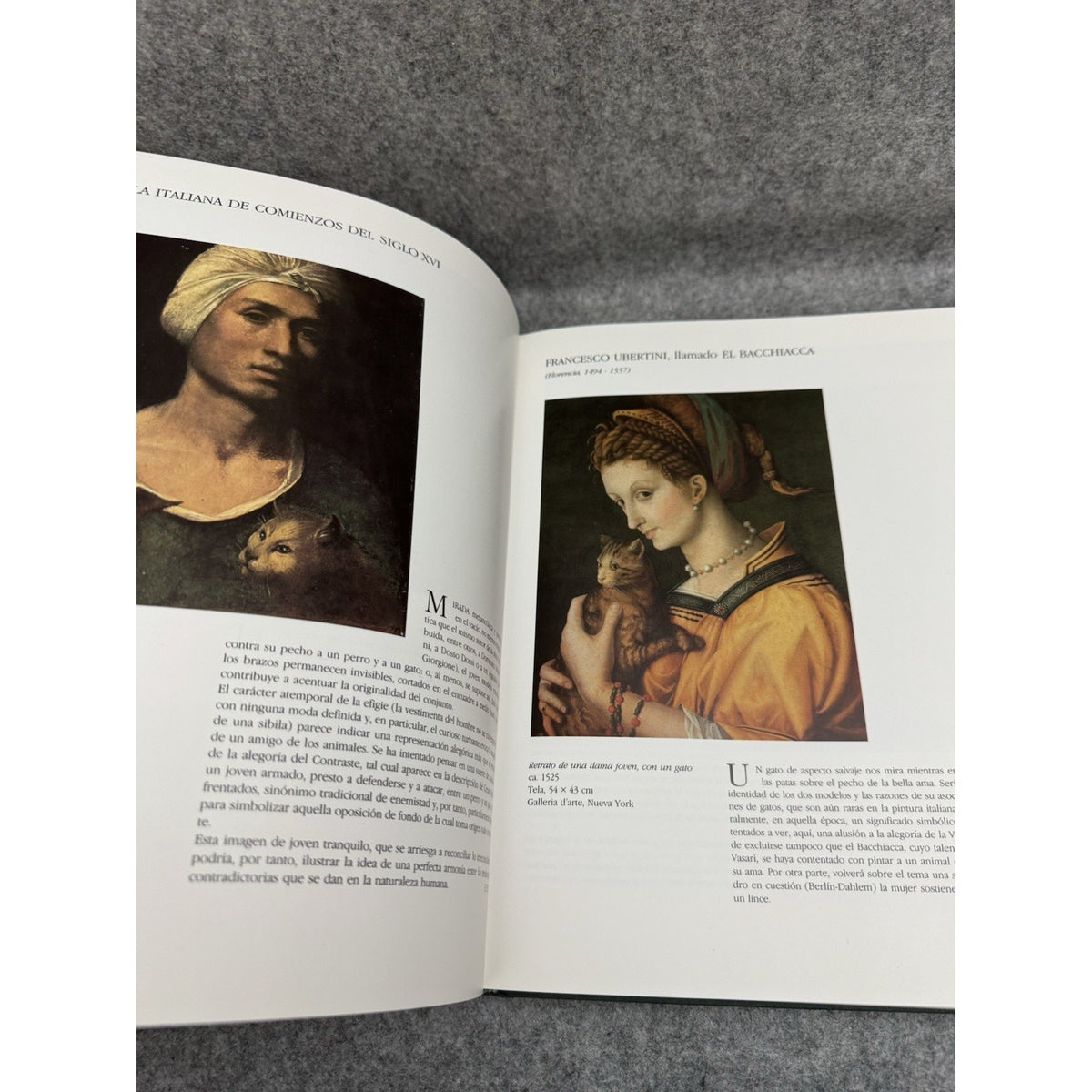 El Gato en el Arte 1988 HC DJ Mondadori Cat Art Painting History Spanish