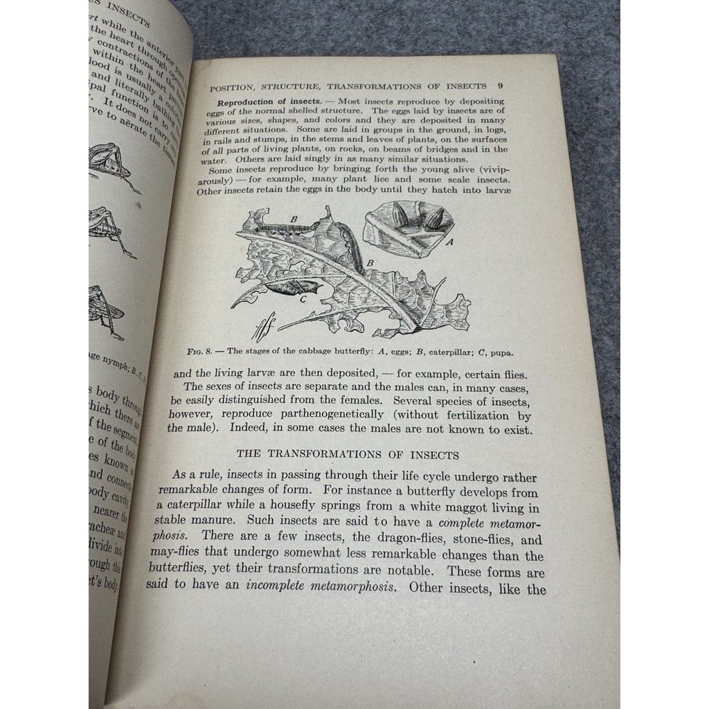 1927 Manual of Injurious Insects Glenn W Herrick Illustrated Entomology HC