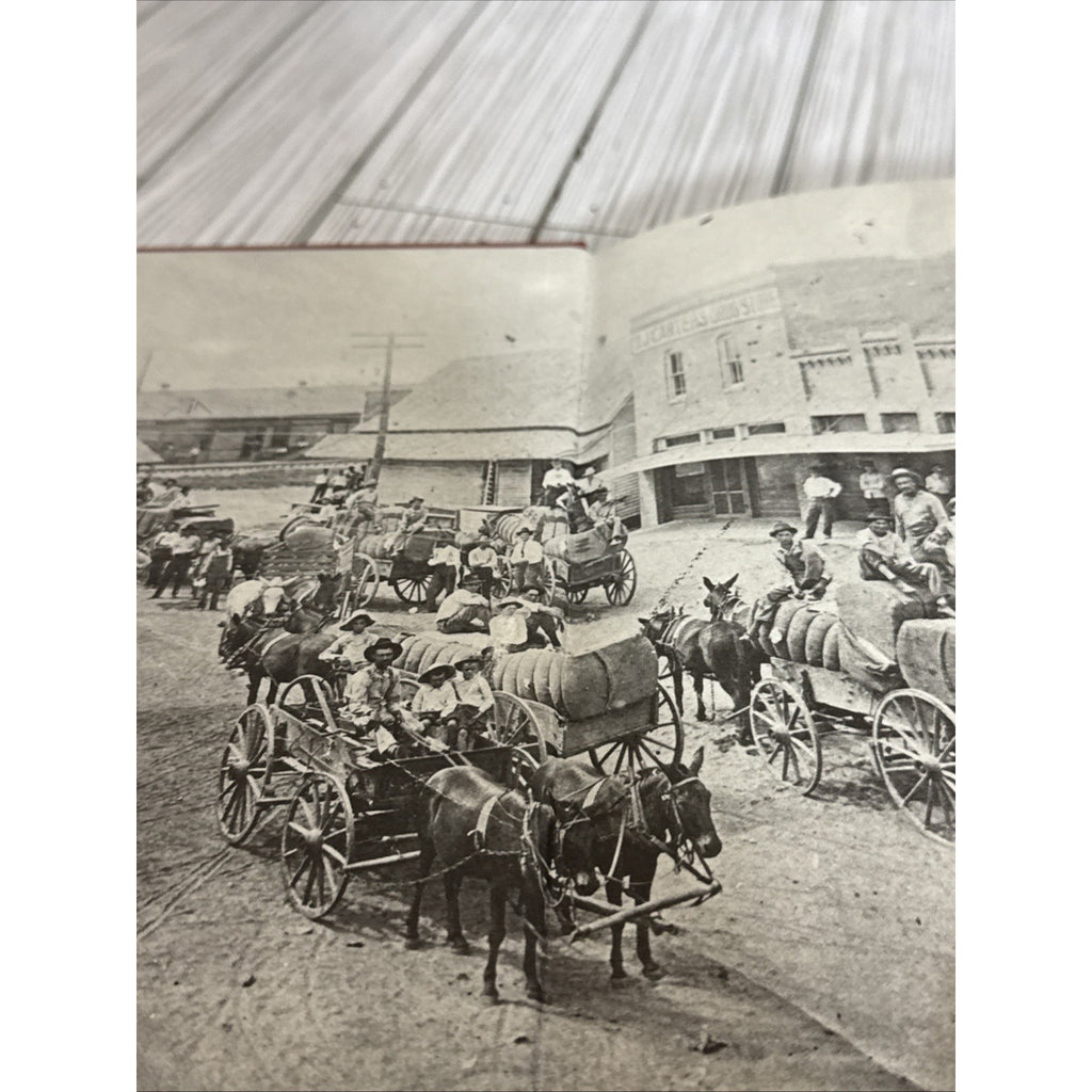 Timberline Treasures (Hardcover, 1992) Edgewood, Texas Historical Society