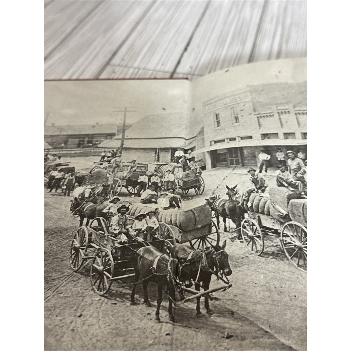 Timberline Treasures (Hardcover, 1992) Edgewood, Texas Historical Society
