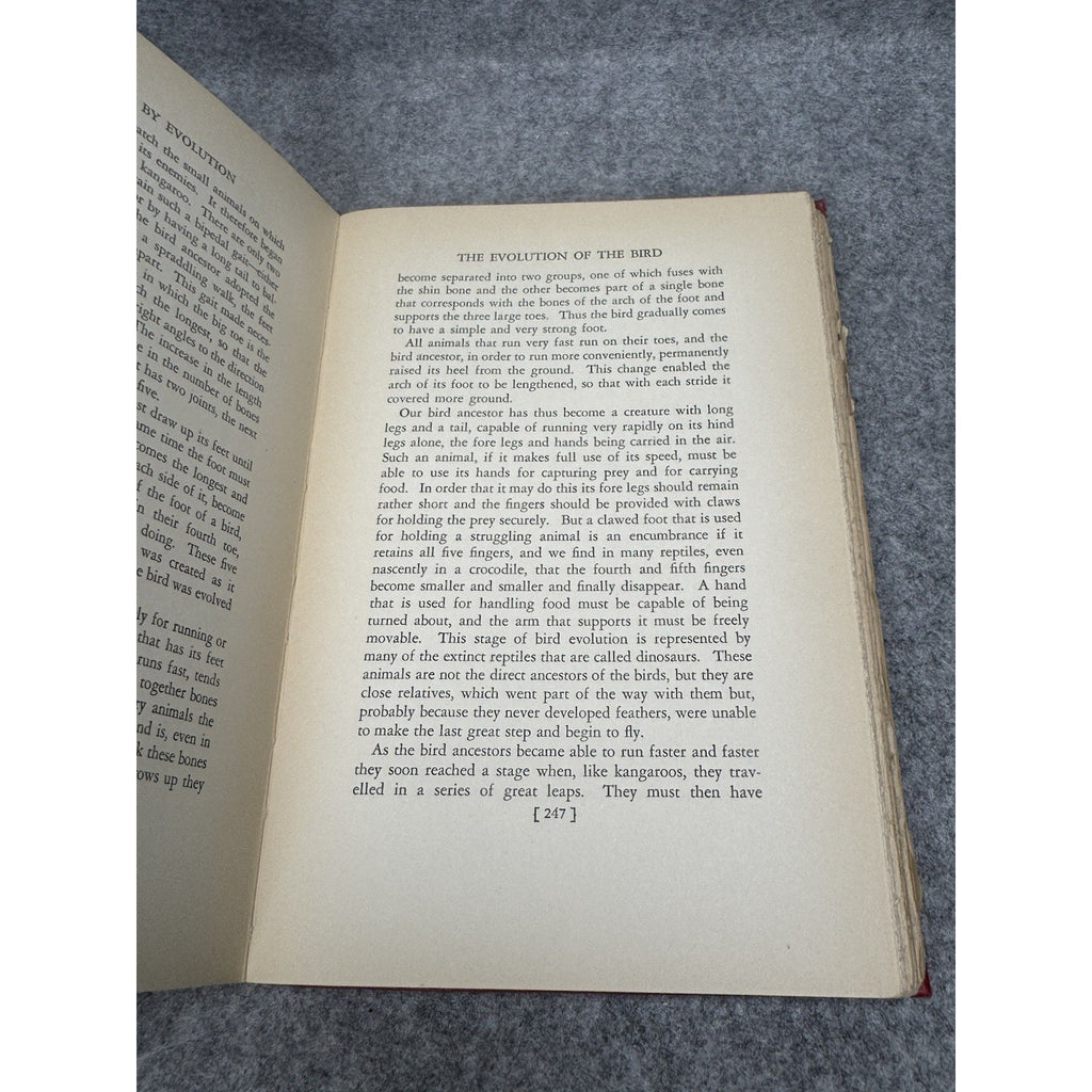 1928 Creation by Evolution Frances Mason First Edition Illustrated Hardcover