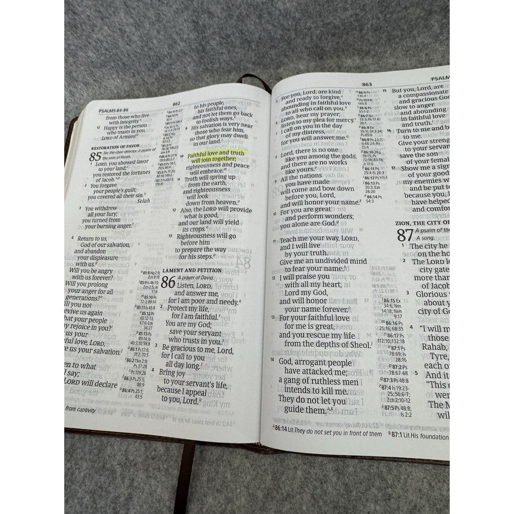 CSB Giant Print Center-Column Reference Bible Brown LeatherTouch Holman 2019