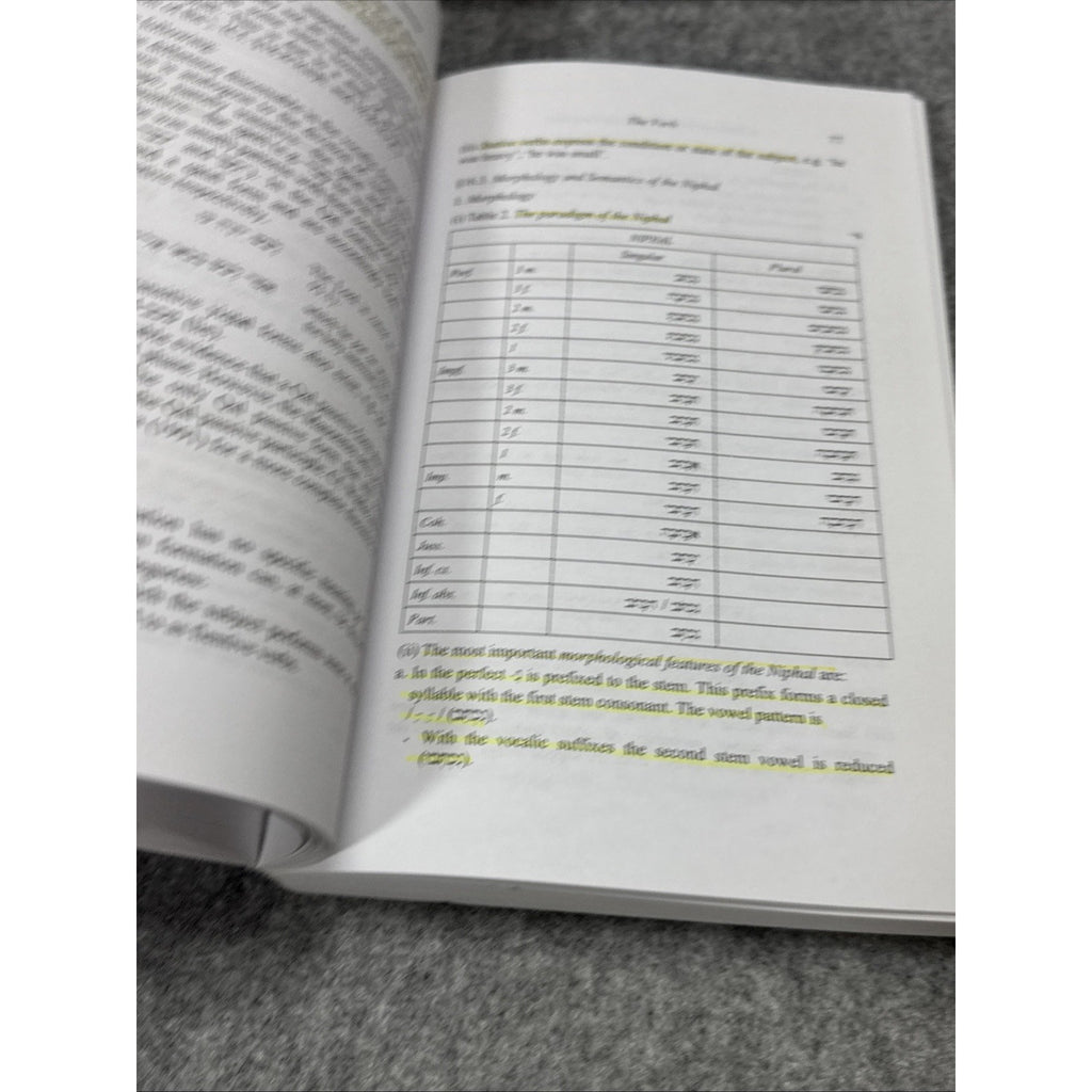 Biblical Languages: Hebrew Ser.: Biblical Hebrew Reference Grammar by Christo H.