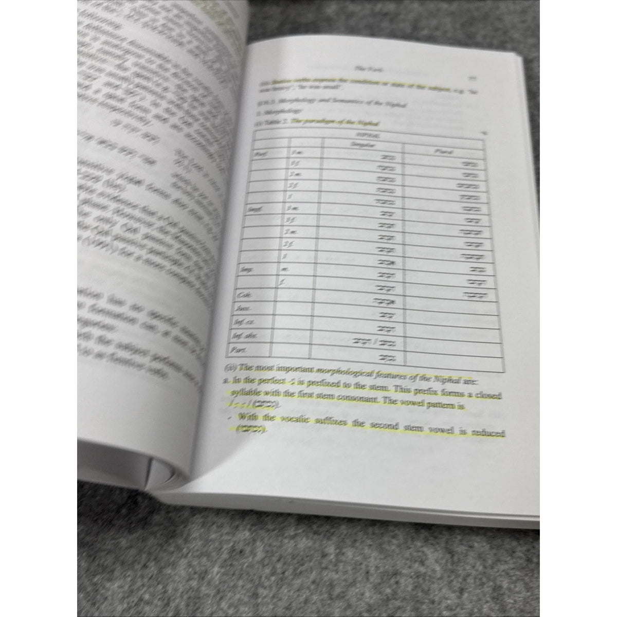 Biblical Languages: Hebrew Ser.: Biblical Hebrew Reference Grammar by Christo H.
