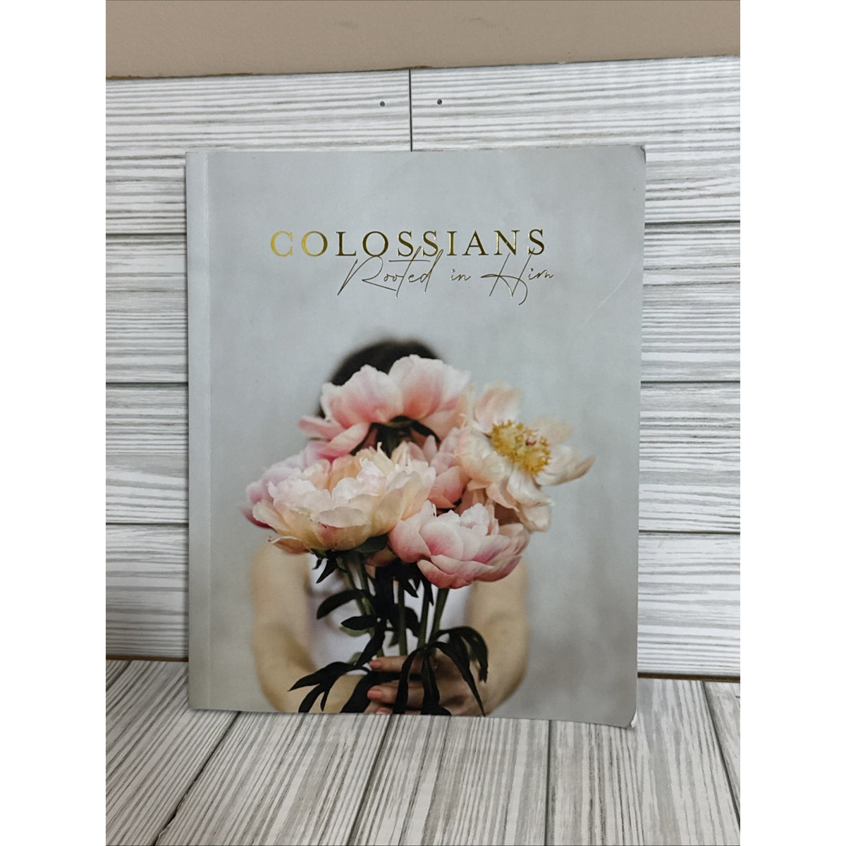 Colossians Bible Study | Rooted in Him