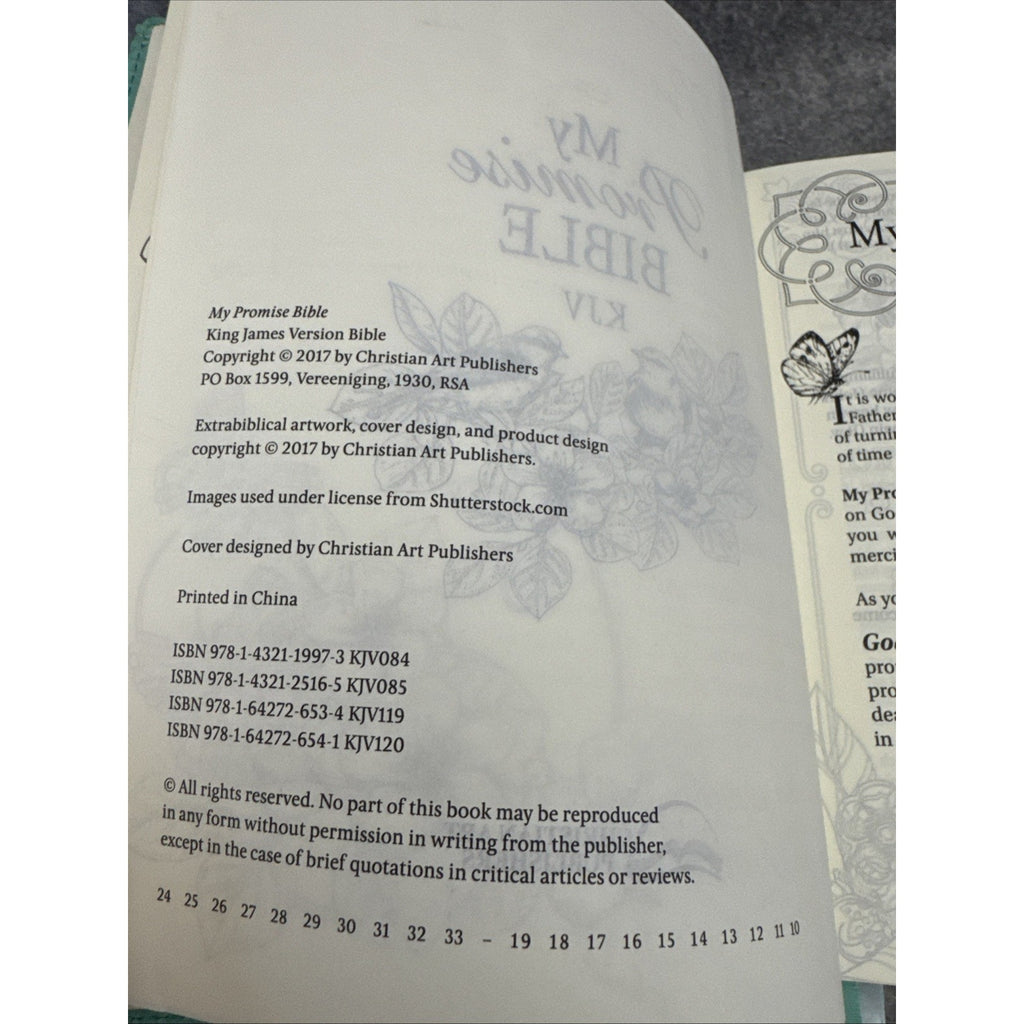 KJV Holy Bible, My Promise Bible, Faux Leather Hardcover w/Bible Tabs, Color...