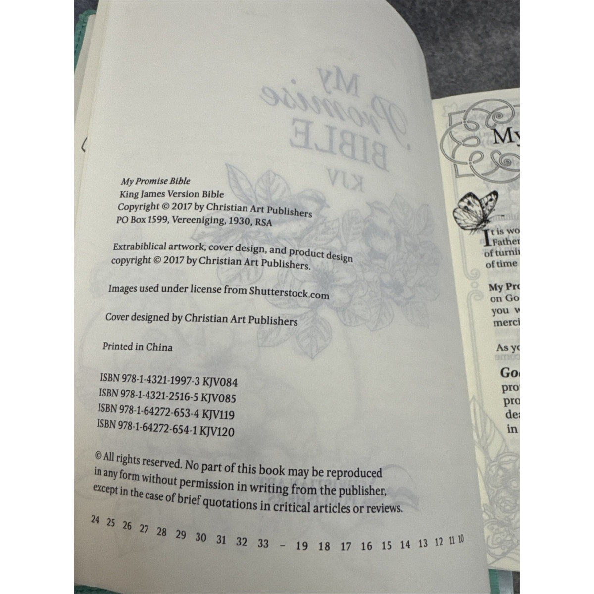 KJV Holy Bible, My Promise Bible, Faux Leather Hardcover w/Bible Tabs, Color...