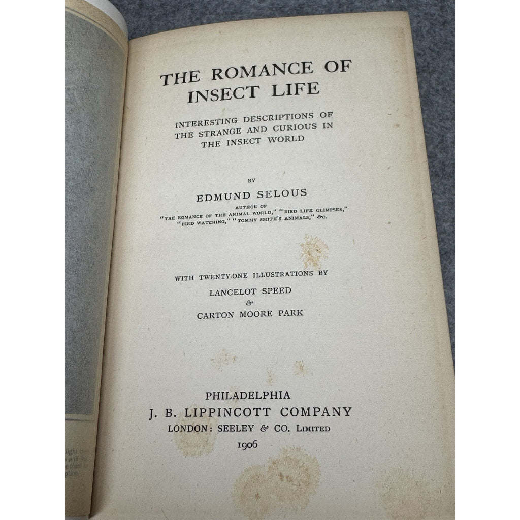 1906 The Romance of Insect Life Edmund Selous Illustrated Decorative Hardcover