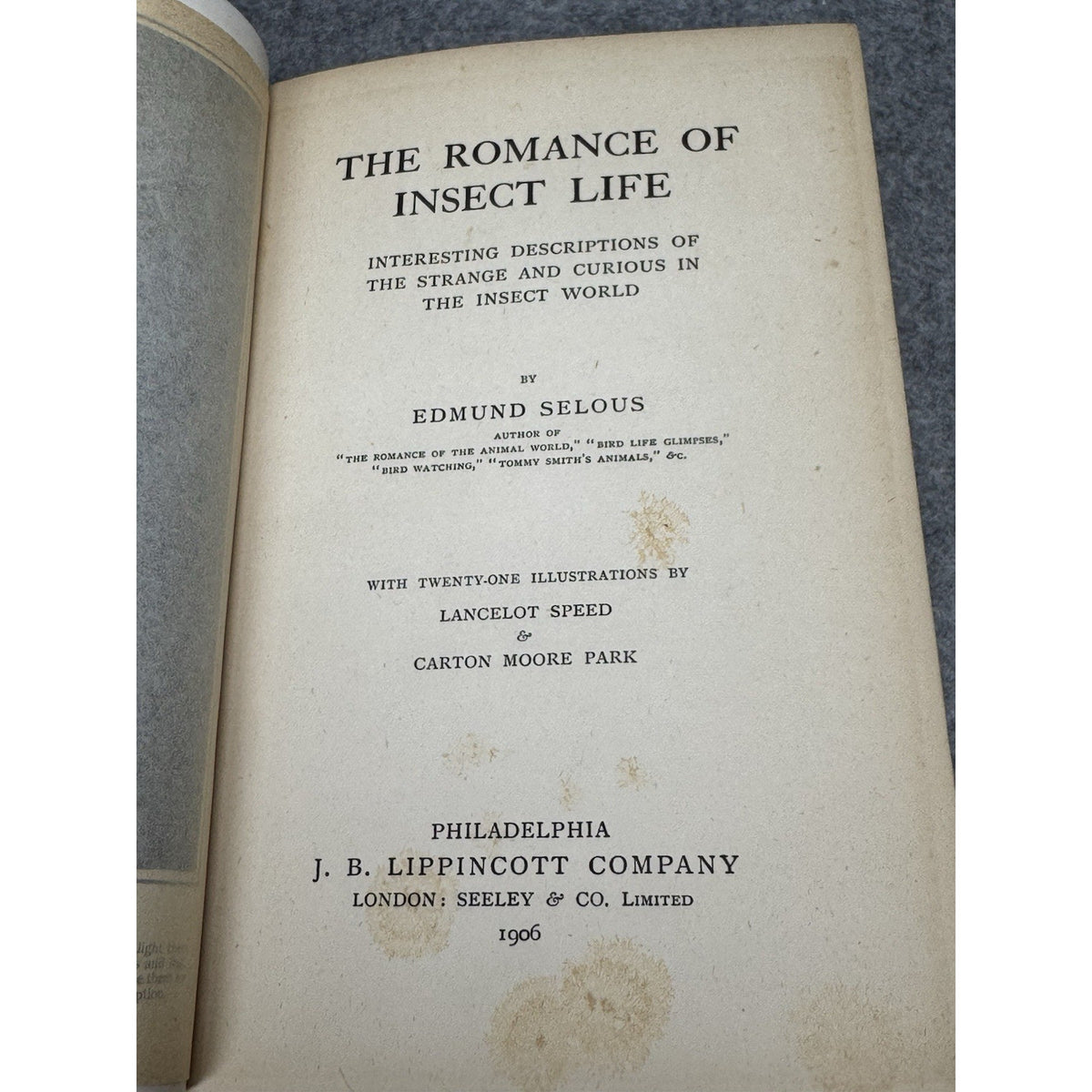 1906 The Romance of Insect Life Edmund Selous Illustrated Decorative Hardcover