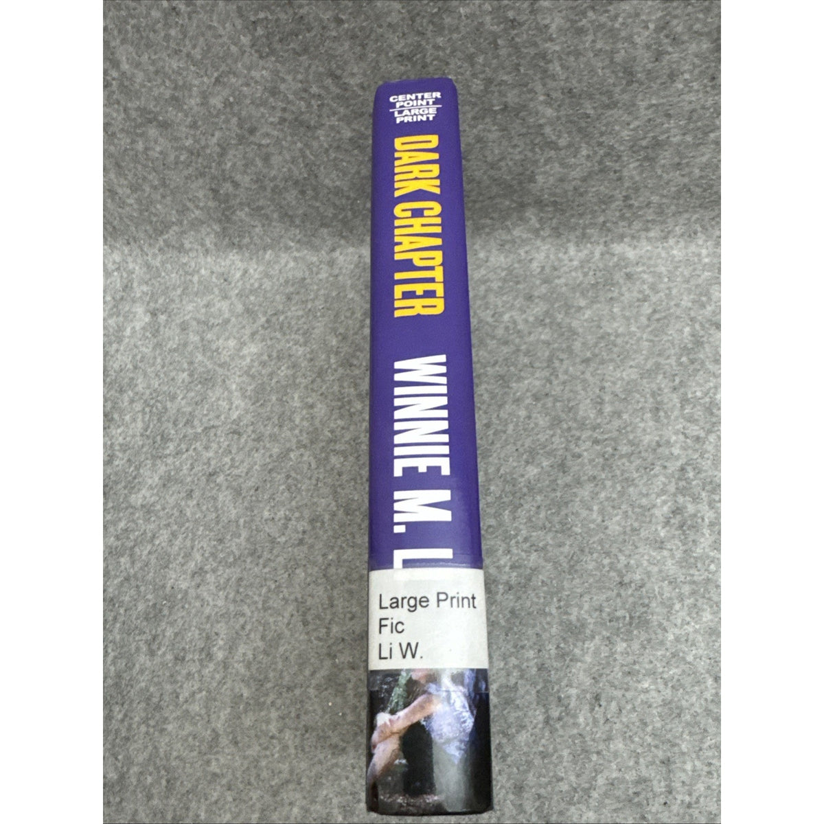 Dark Chapter by Winnie M. Li (2018, Library Binding)
