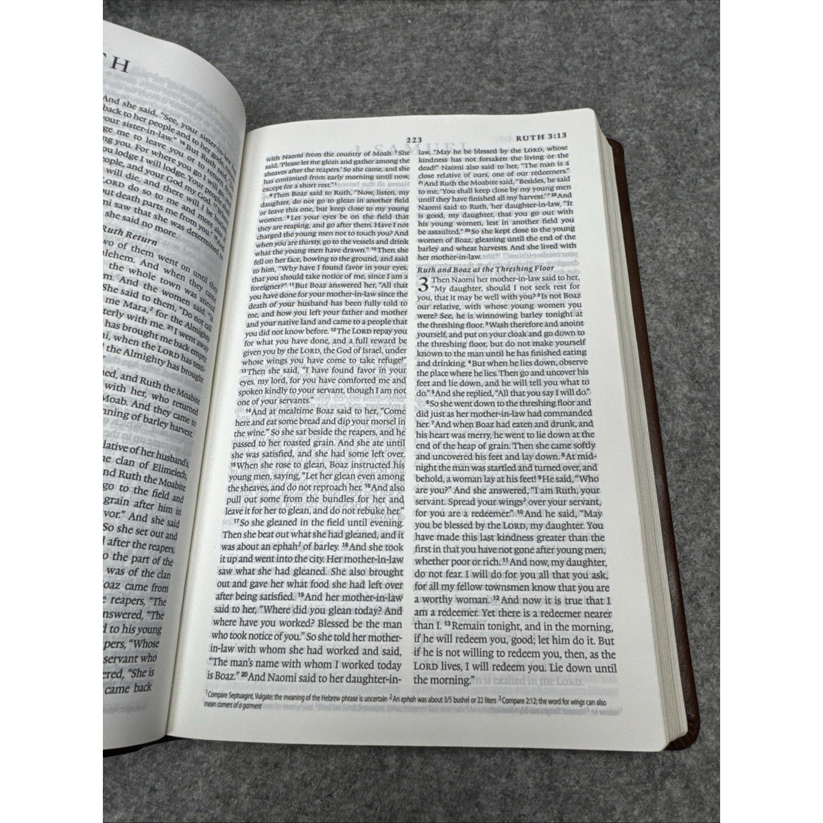 The Holy Bible: English Standard Version Deep Brown Trutone Value Thinline Bible
