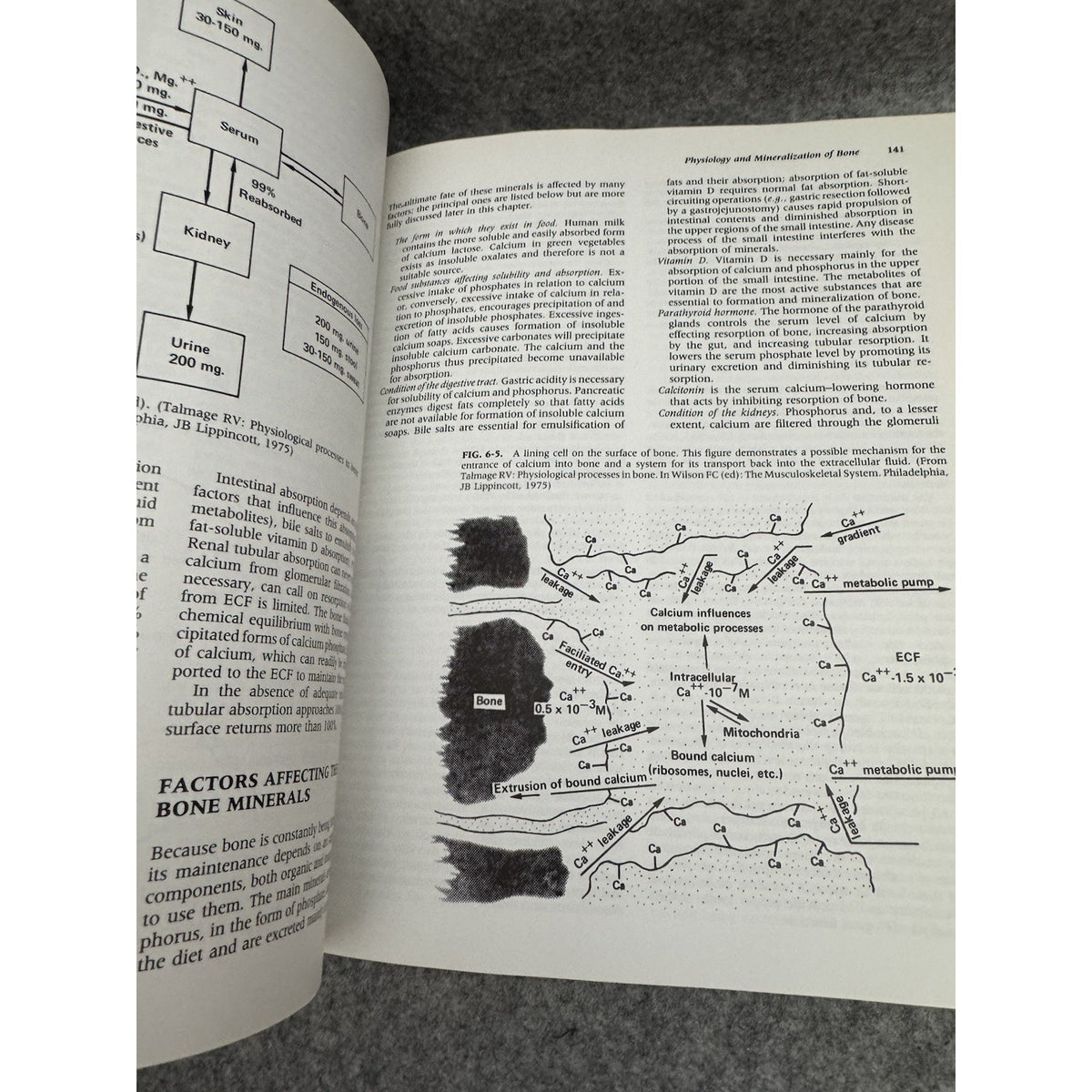 Orthopaedics : Principles and Their Application by Samuel L. Turek Part I & II