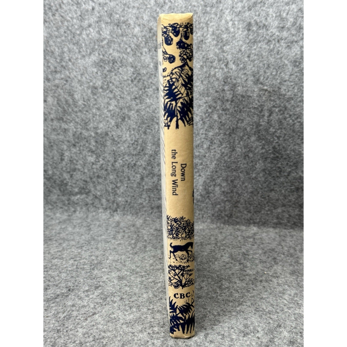 Down the Long Wind Garth Christian 1963 Bird Migration Hardcover DJ