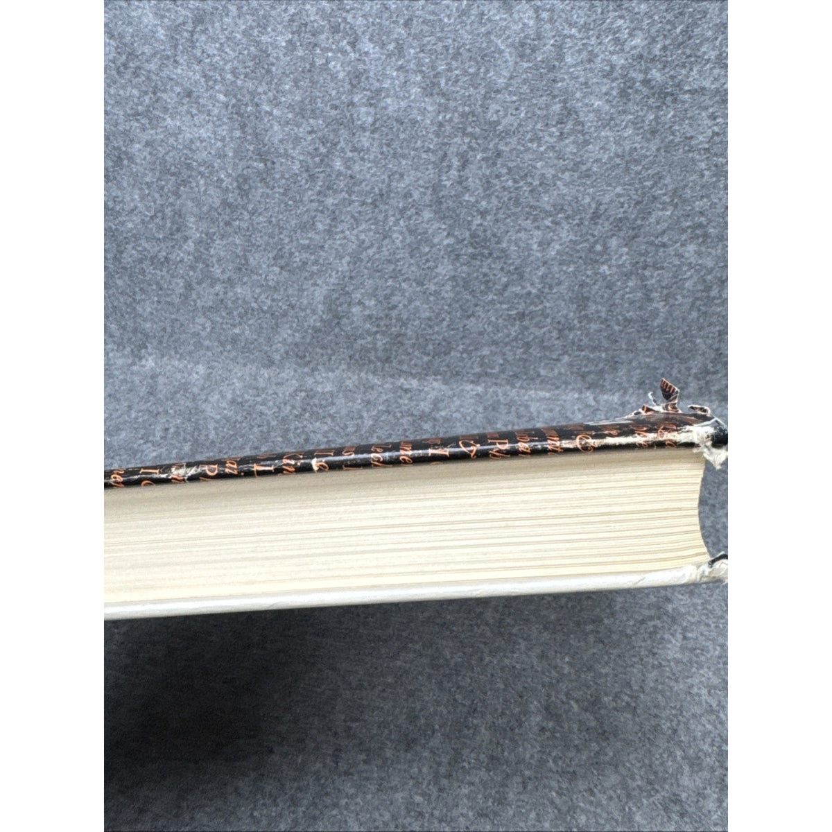Our Daily Homily Chapter By Chapter Through the Bible - Meyer - 1966 HCDJ