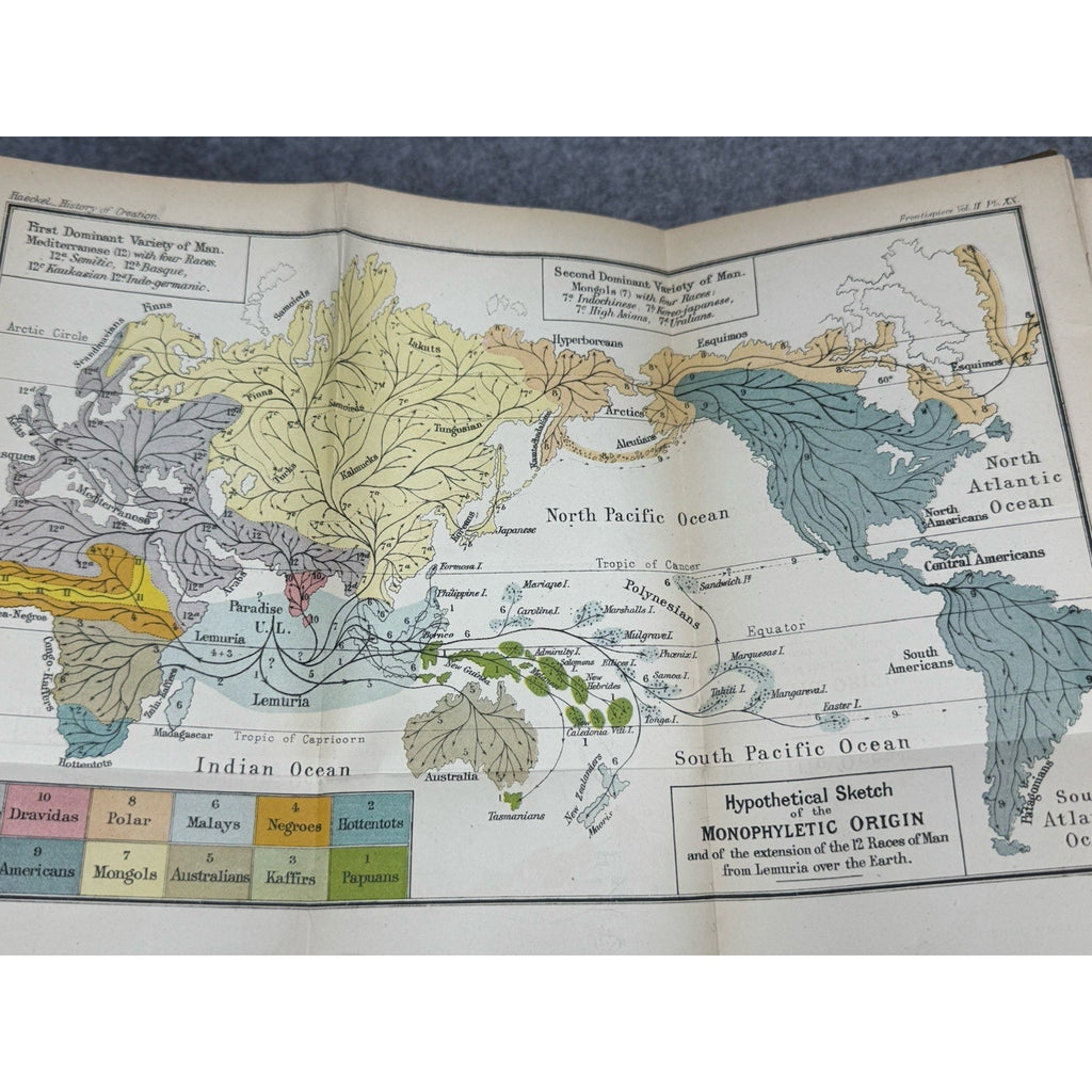 1901 History of Creation Ernst Haeckel 2 Vol Set Evolution Darwin Color Map HC