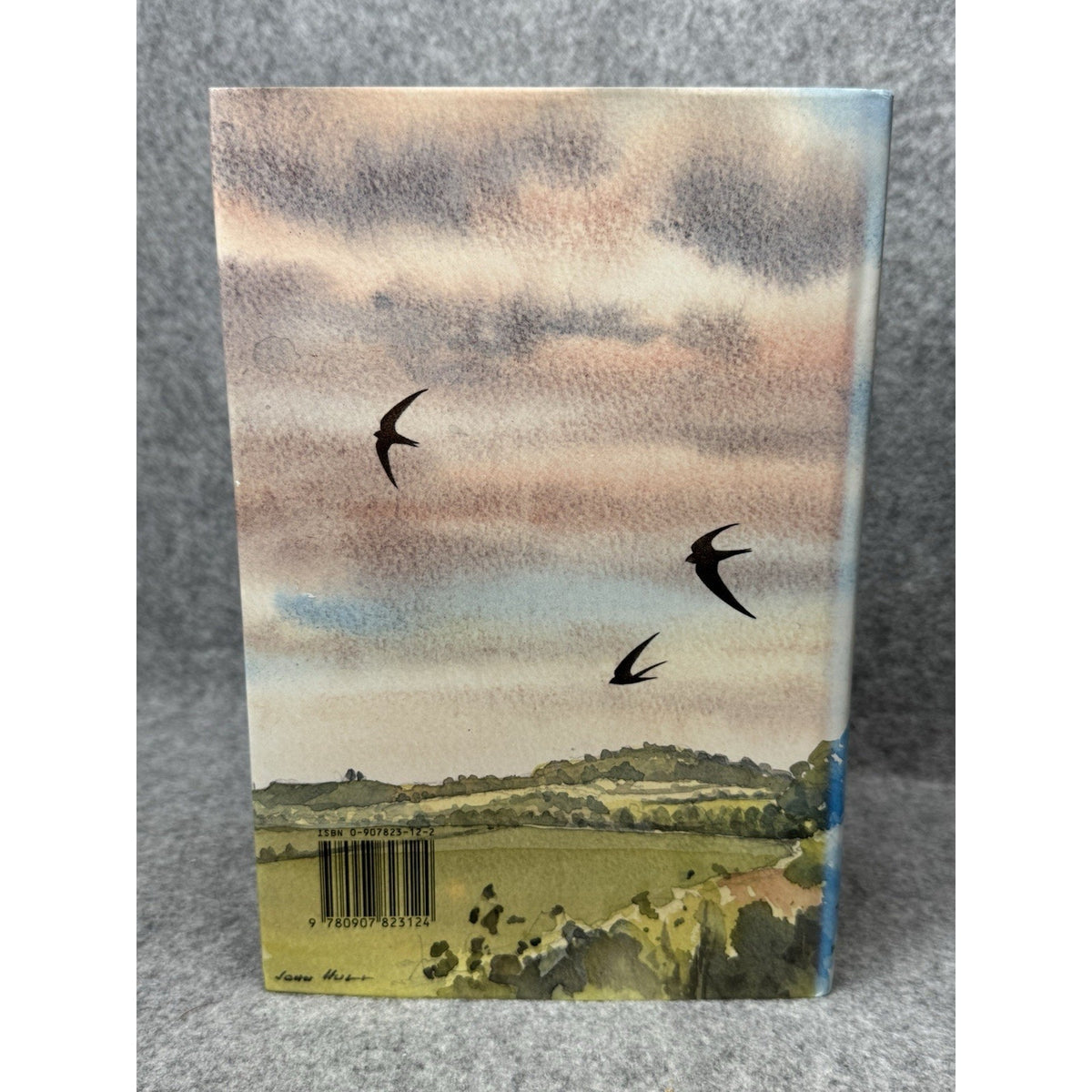 Birds of Buckinghamshire Peter Lack Ferguson 1993 1st Ed HC DJ Illustrated