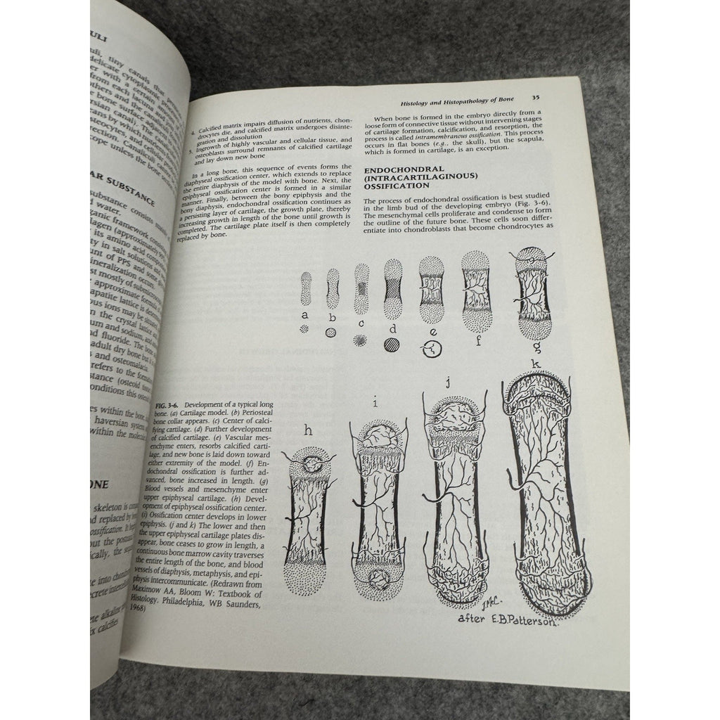 Orthopaedics : Principles and Their Application by Samuel L. Turek Part I & II