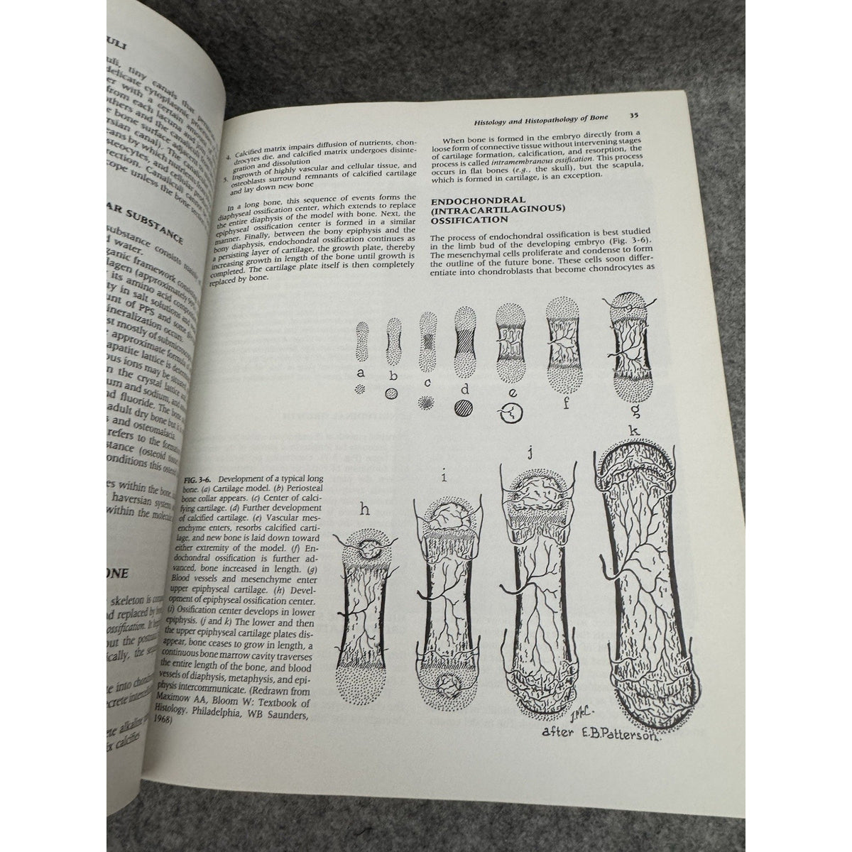 Orthopaedics : Principles and Their Application by Samuel L. Turek Part I & II