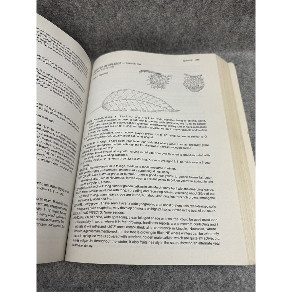 Manual of Woody Landscape Plants by Michael A. Dirr - 4th Edition 1990