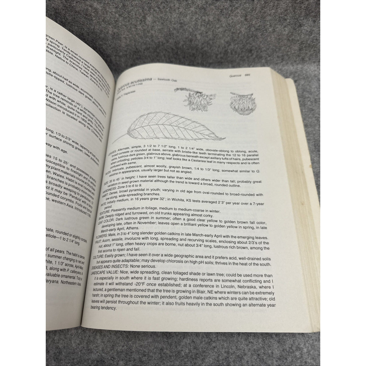 Manual of Woody Landscape Plants by Michael A. Dirr - 4th Edition 1990
