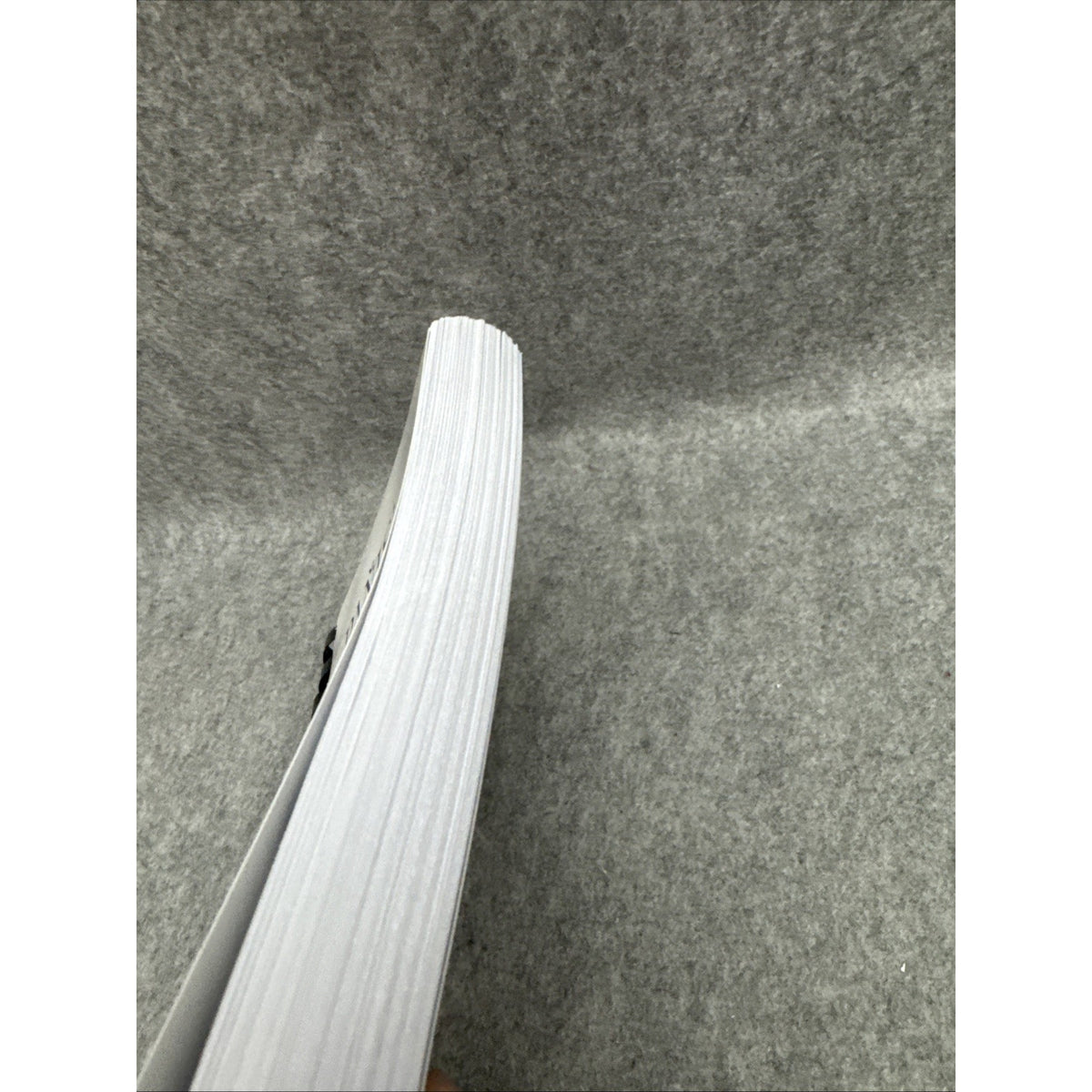 Panis’ Cookbook Second Edition 2021