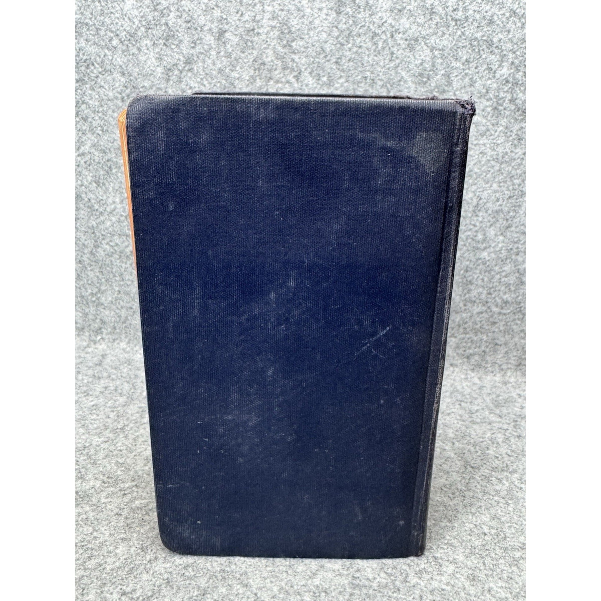1930 Field Book of Ponds and Streams Ann Haven Morgan Illustrated Hardcover