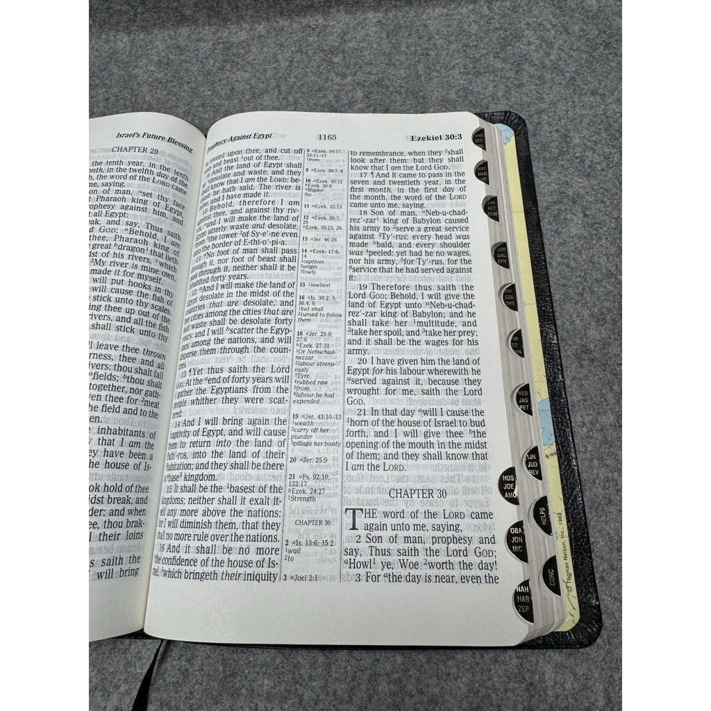 KJV Holy Bible Giant Print Red Letter Thumb Indexed Bonded Leather Nelson 895
