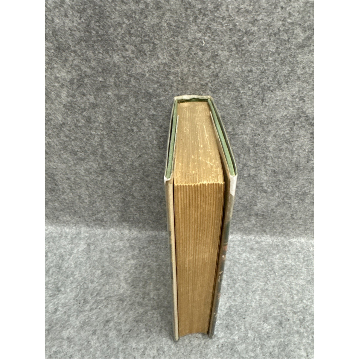 The Magic Garden by Gene Stratton-Porter 1927 HCDJ First Edition
