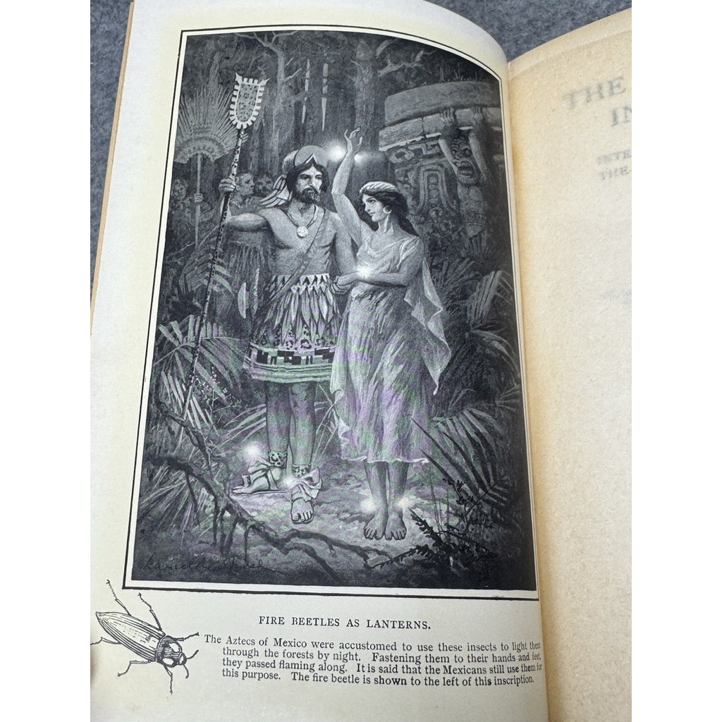 1906 The Romance of Insect Life Edmund Selous Illustrated Decorative Hardcover