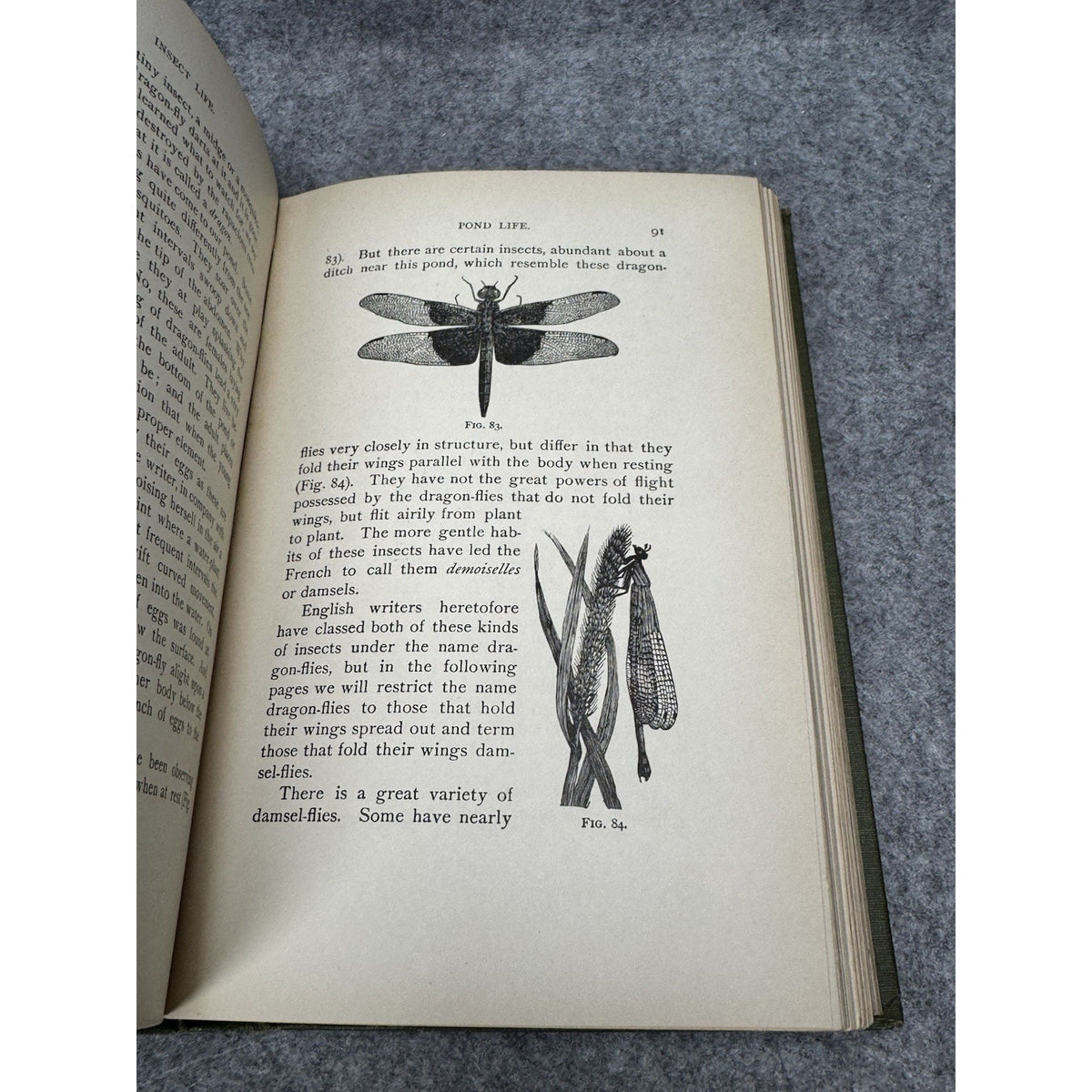 1911 Insect Life Comstock Color Plates Illustrated Entomology Hardcover